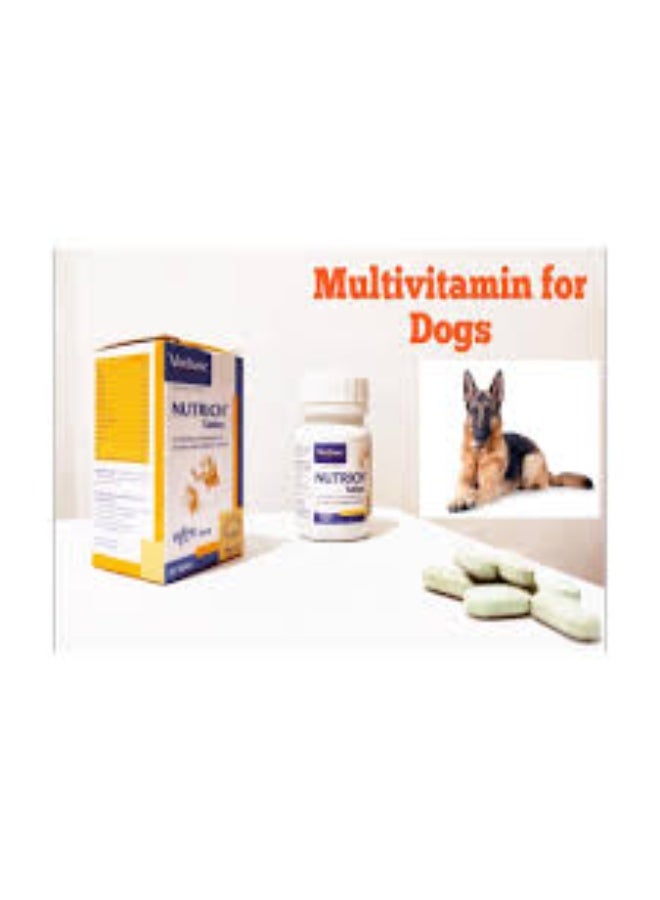 Virbac Nutrich Tablets 30 Pcs Minerals and Vitamins Supplement for Dog & Cat, 30 Count - Image 3